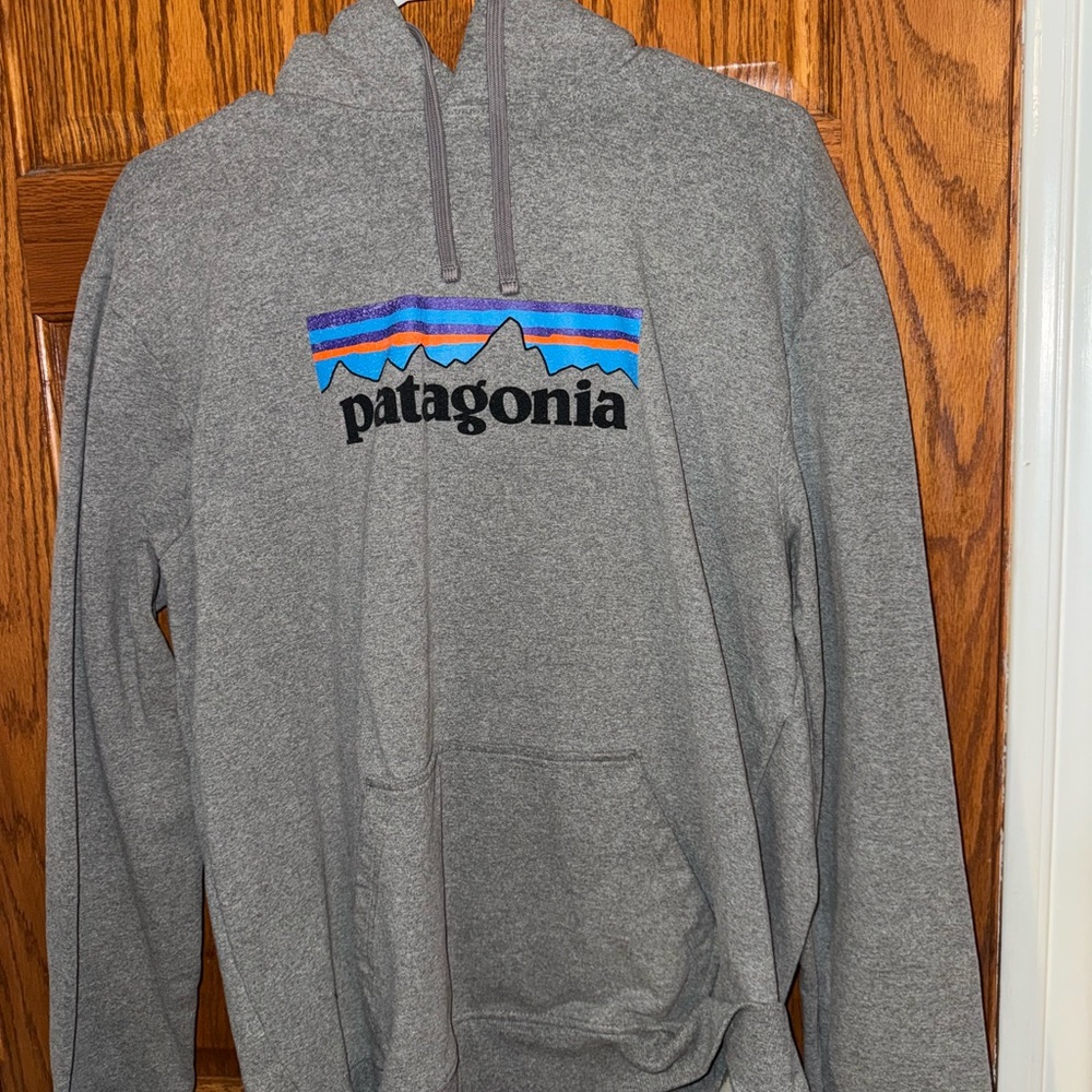 Patagonia Gray Pullover Hoodie with Multicolor Mountain Logo